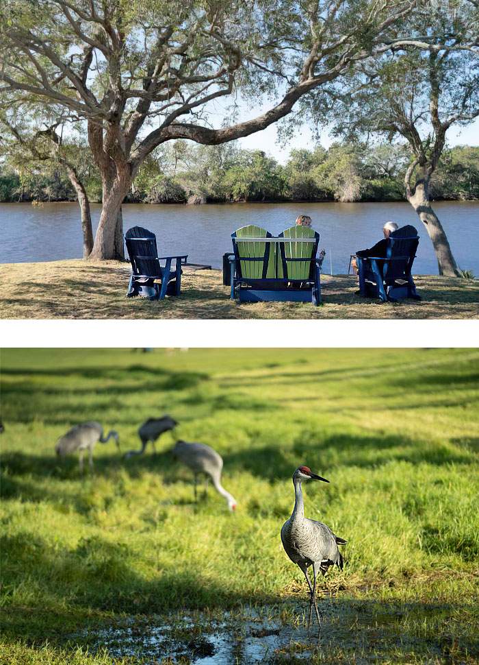 People enjoying a river view with birds in the foreground. 