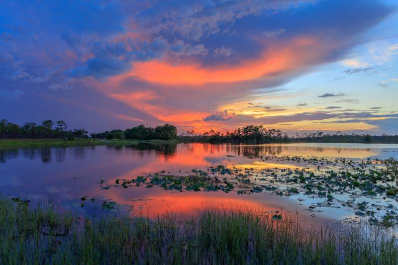 George Lestrange Preserve