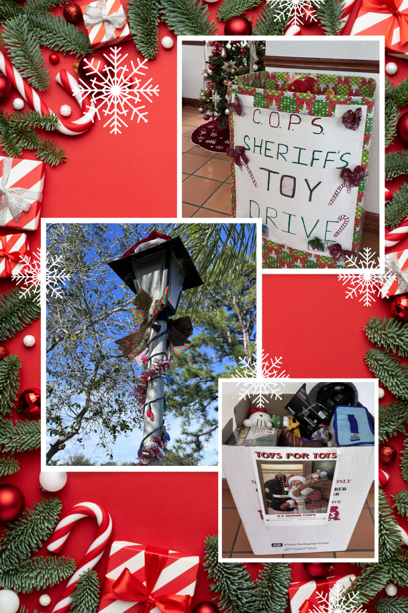 Red Festive Merry Christmas Holiday Photo Collage